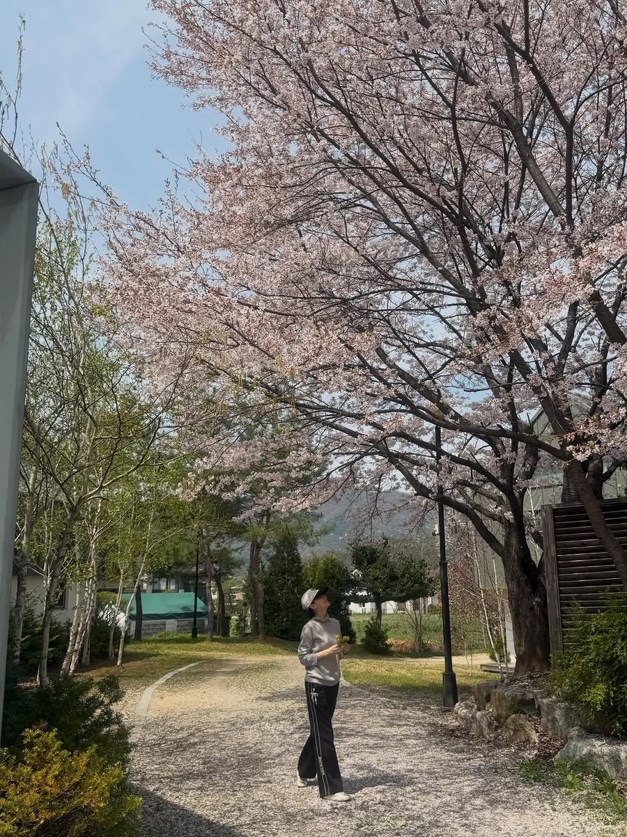 이영애 아카이브 tweet media
