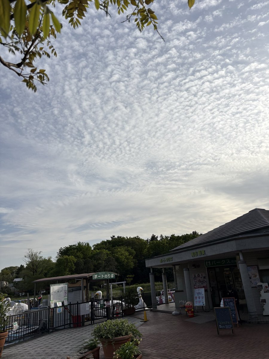 とても心地よい天気のいい日だなぁ