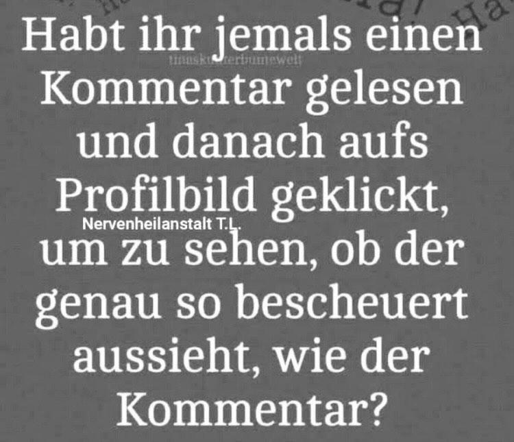 Connie 🐈‍⬛❣️ tweet media