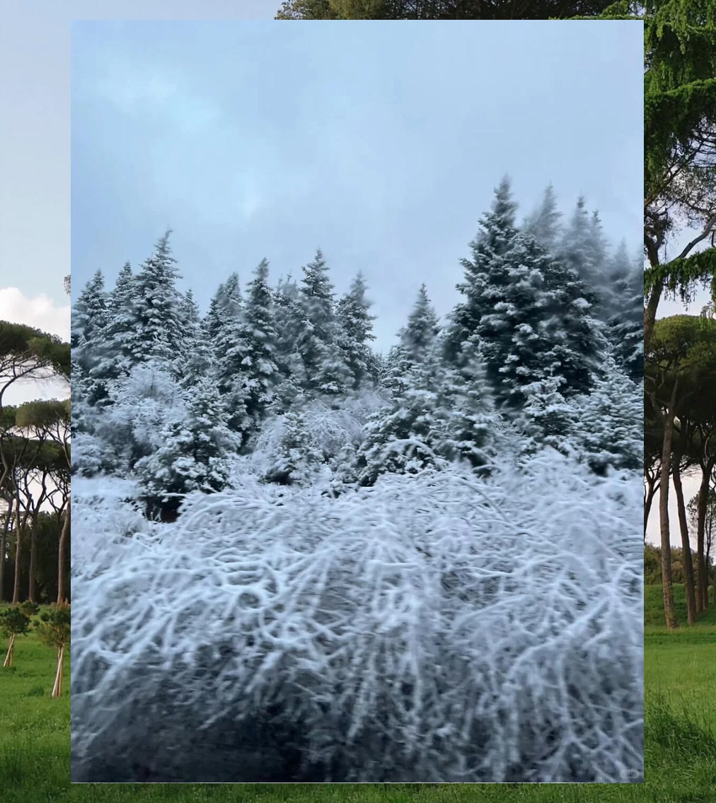 Frank Edge tweet media