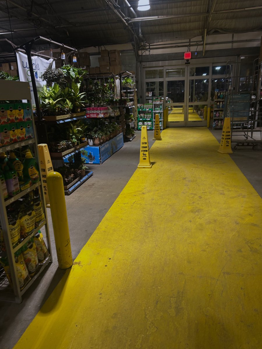 Stupid orange bat tweet media