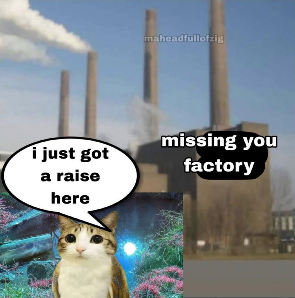 Me & Who? tweet media