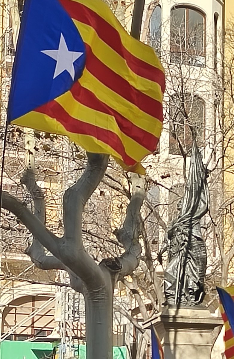 Enric Pujol C. tweet media