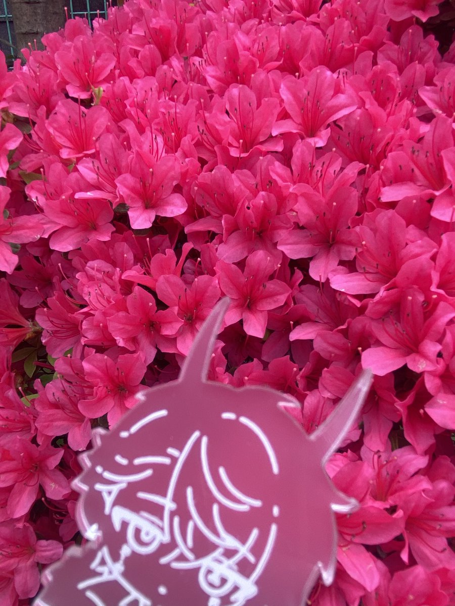 ヘルシヱイク久坂＠11/16 末グリ 東8 ギ8b tweet media