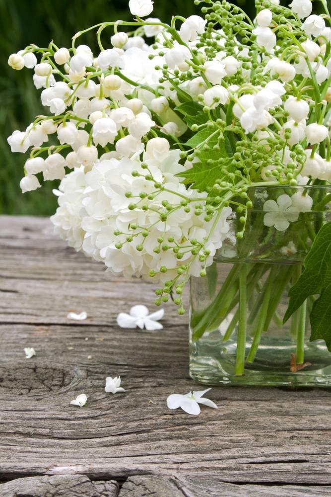 Duval Philippe tweet media