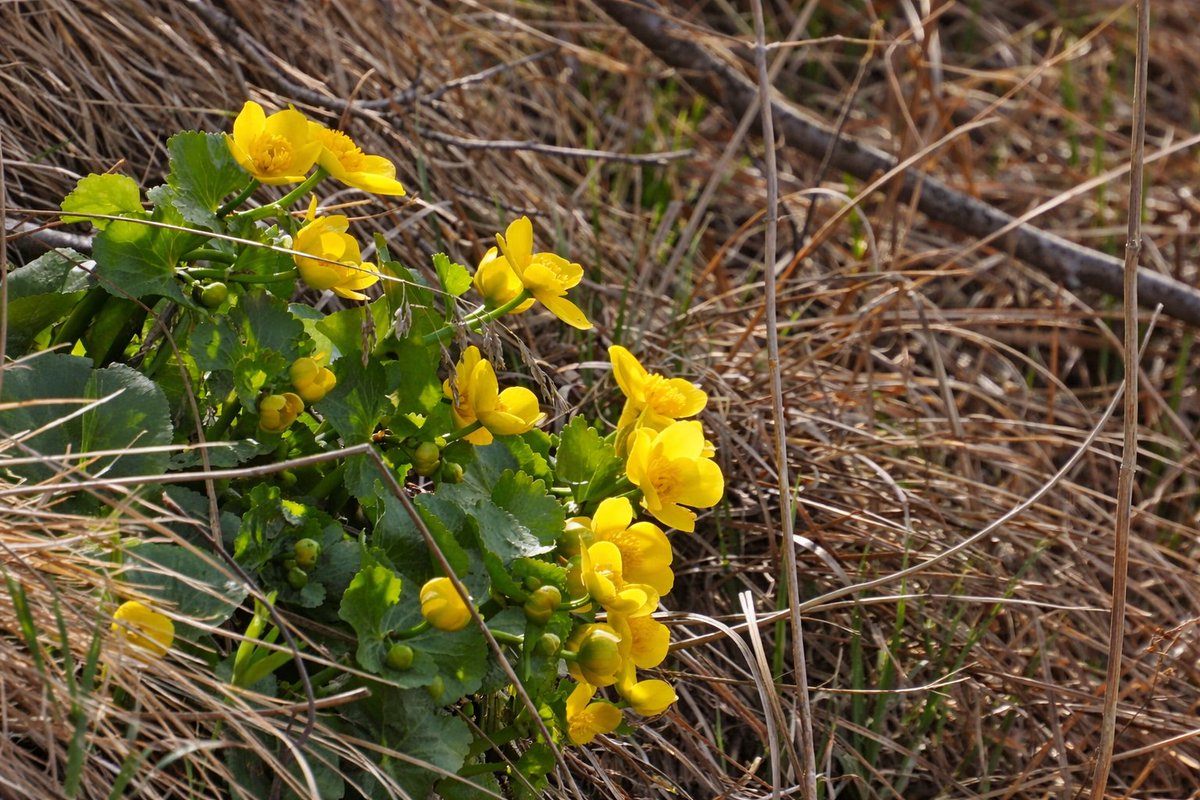 BarbaraT tweet media