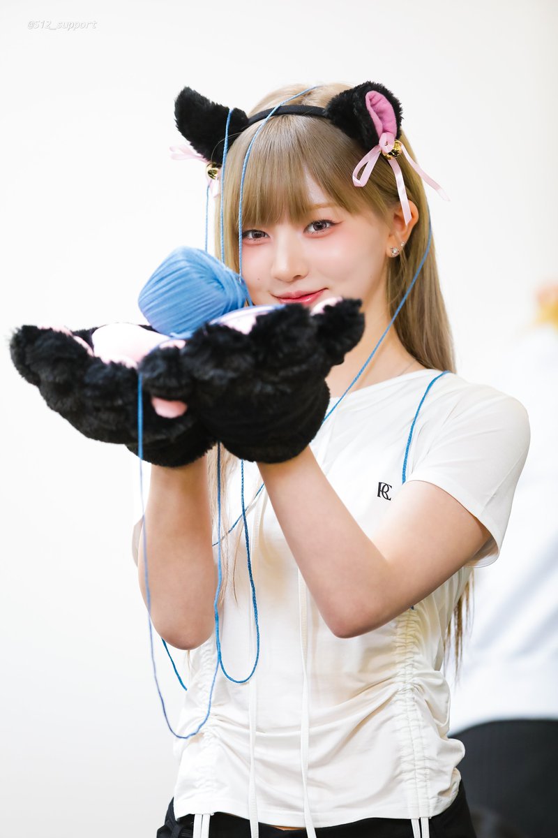 🐰🇸1⃣2⃣ tweet media