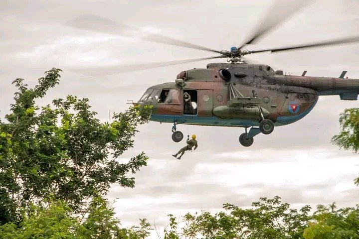 Miguel Colina tweet media