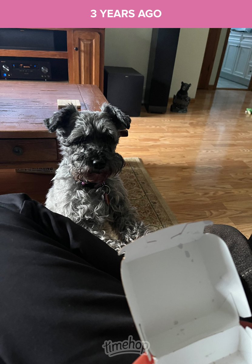 Scarlet🦇🎲 (@scarletlion94) on Twitter photo 