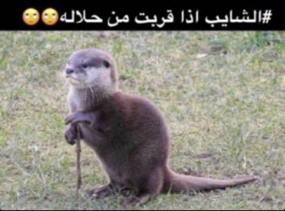 غّيـــم tweet media