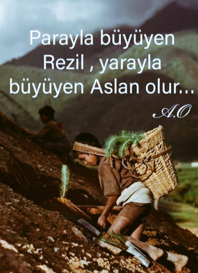 caliskanvahap's tweet image. ALLAH"sız olarak yaşamayı, parasız yaşamaya tercih etmiş insanlar, kendilerini tanrı olarak görmeye başlamışlar.

Vahap Çalışkan.

#sevdiklerimizehatırlatalım #para