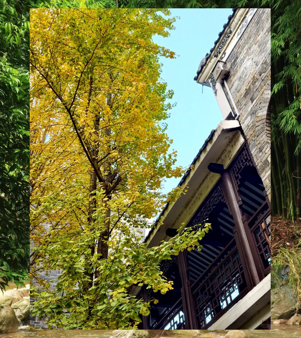 Mark Bader tweet media