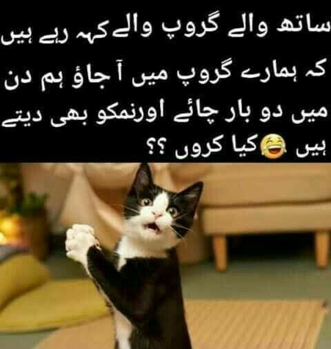 Abbas Mehar tweet media
