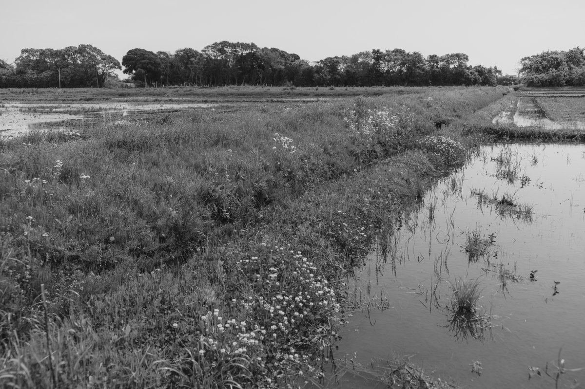 akabeko63's tweet image. #2453
#monochrome #モノクローム