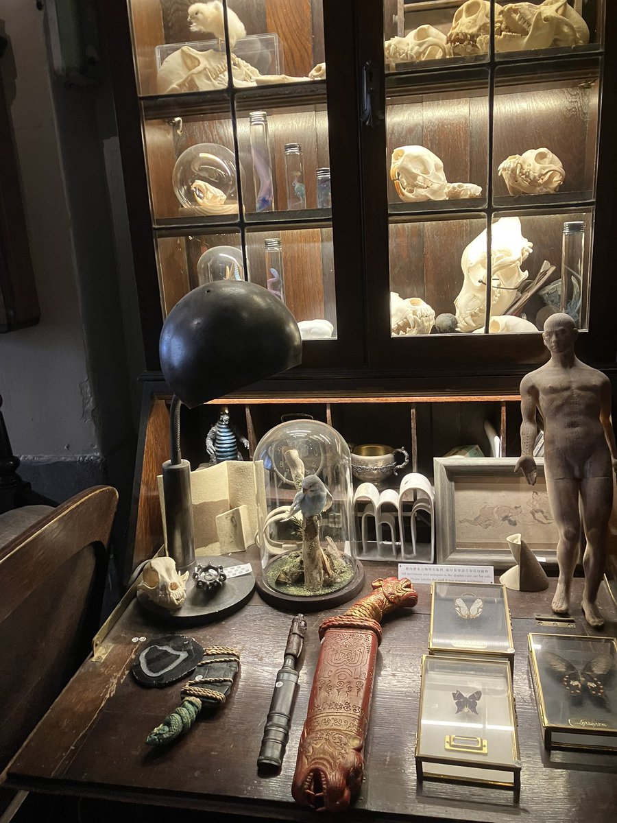 KAZU@5/17雷鳴F05 tweet media