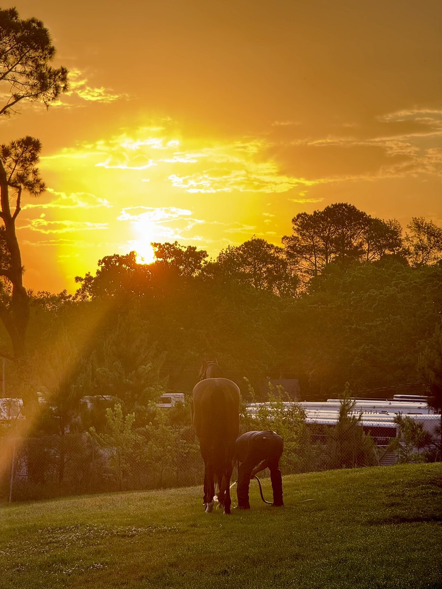 Journalism watching the sunrise 🌅