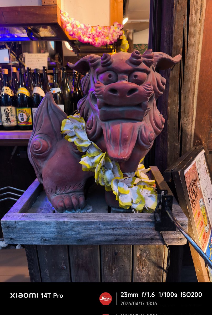 ノブりん tweet media