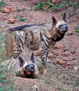 HourlyYeen tweet media