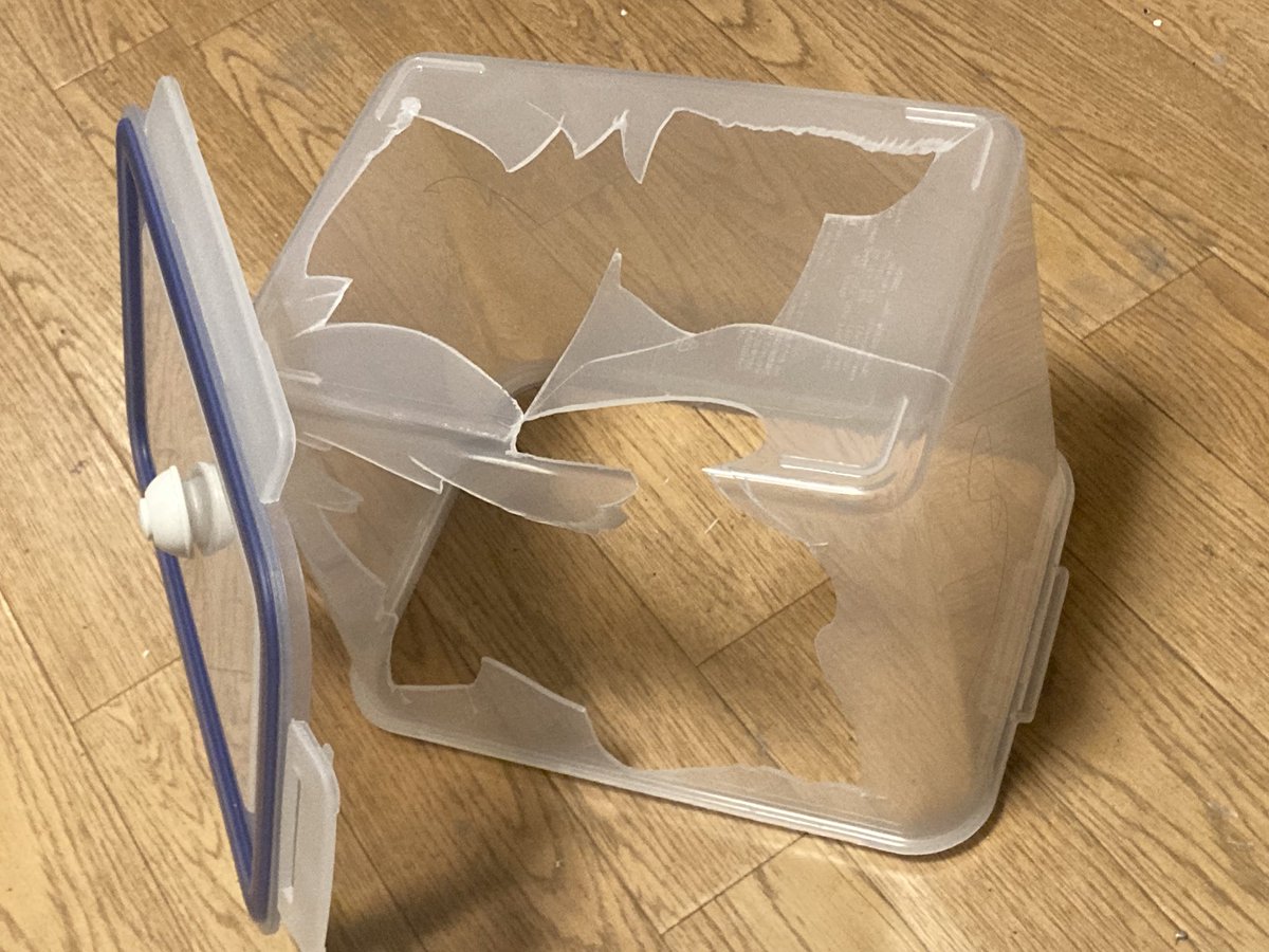 ガラ空き/𝔾𝕒𝕣𝕒@𝕜𝕚【限界趣味人オタク】😈💸 tweet media