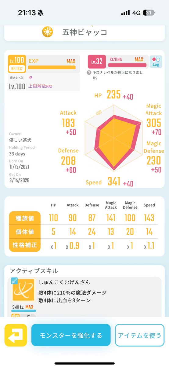 優しい茶犬 tweet media