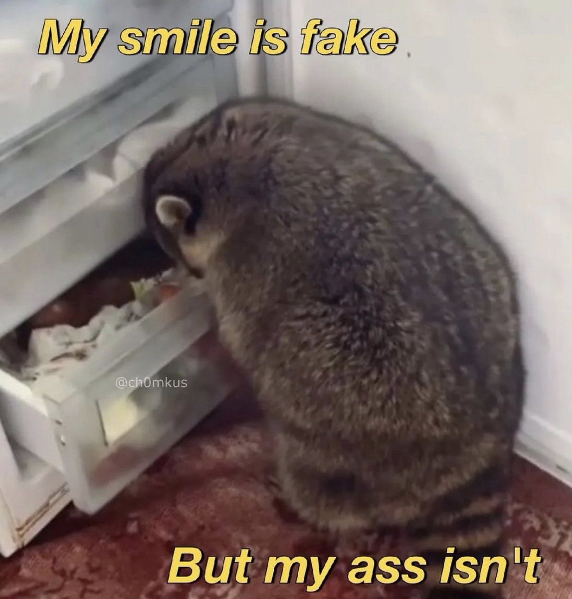 комплементация🕊пива tweet media