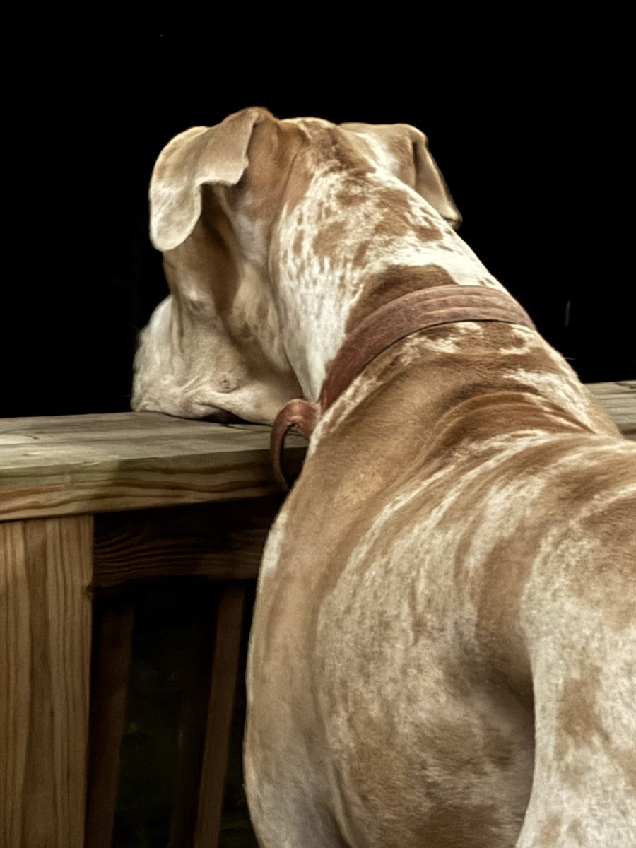 Kirsten Dempsey tweet media