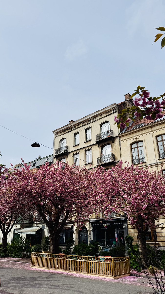 nelsondordelly's tweet image. Happy Friday #Brussels 🇻🇪🇧🇪🇪🇺