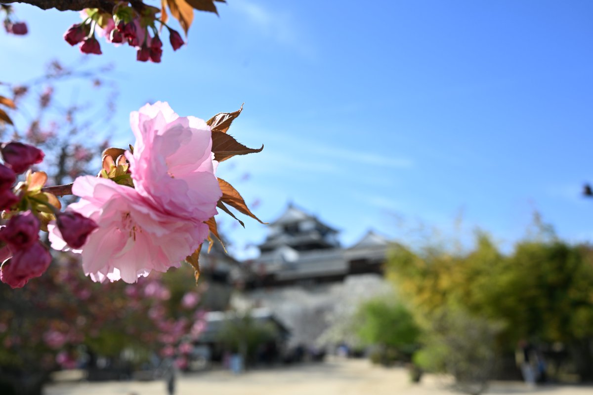 くしろドットコム tweet media