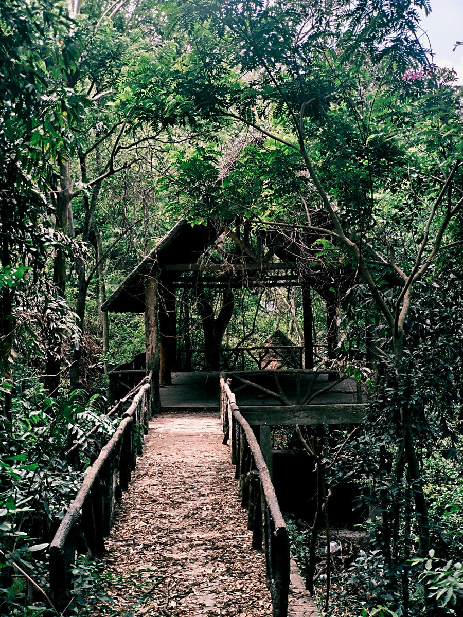 Xx.Ticon tweet media