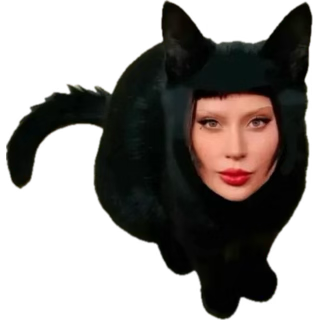 jasonammac's tweet photo. @gagaxjudas is there a way to put cat ears on her https://t.co/Z3h86oVqGa