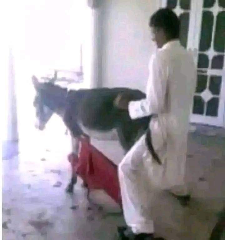 just a jain 🫎 tweet media