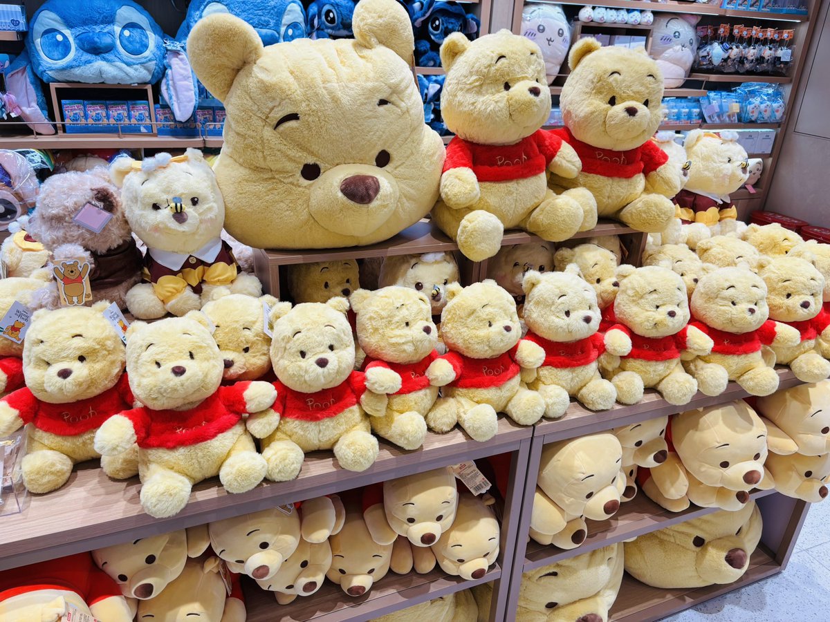 流浪猫 tweet media