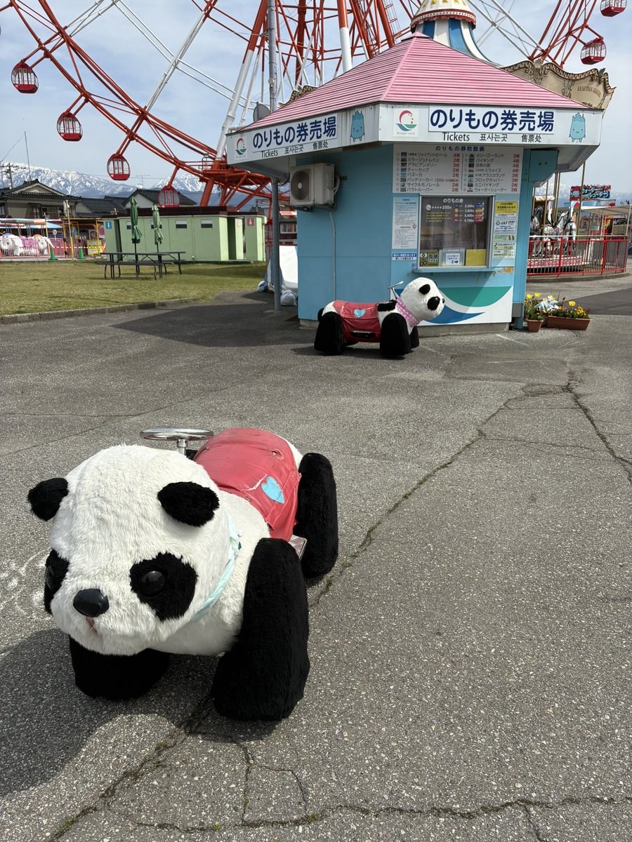 石川典行 tweet media