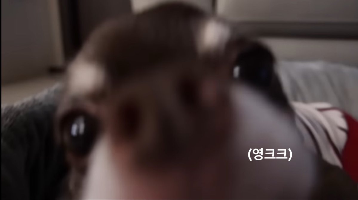 아궁이 tweet media