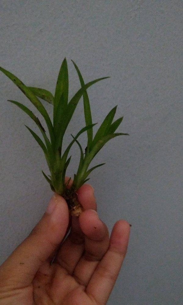 yaya🐨 tweet media