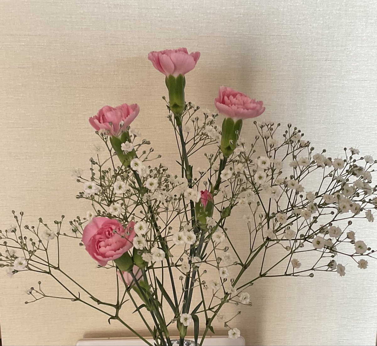 野ウサギ tweet media