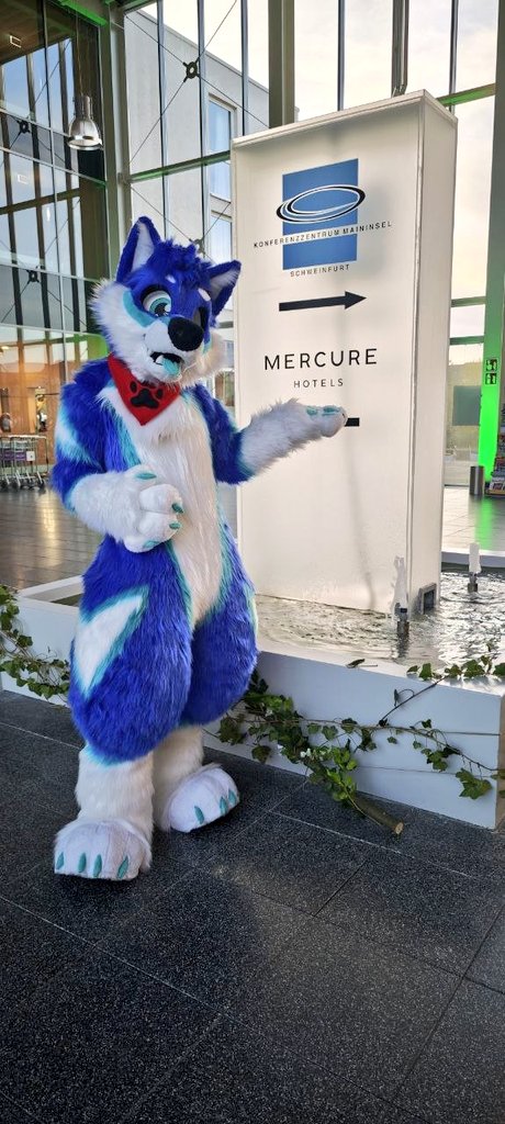 Fab Fox tweet media