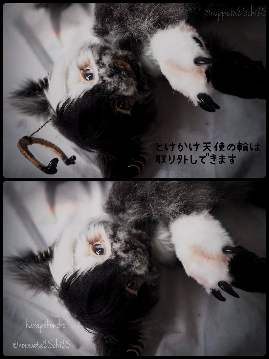 ハラペコ (@hoppeta25chi25) / Posts / X