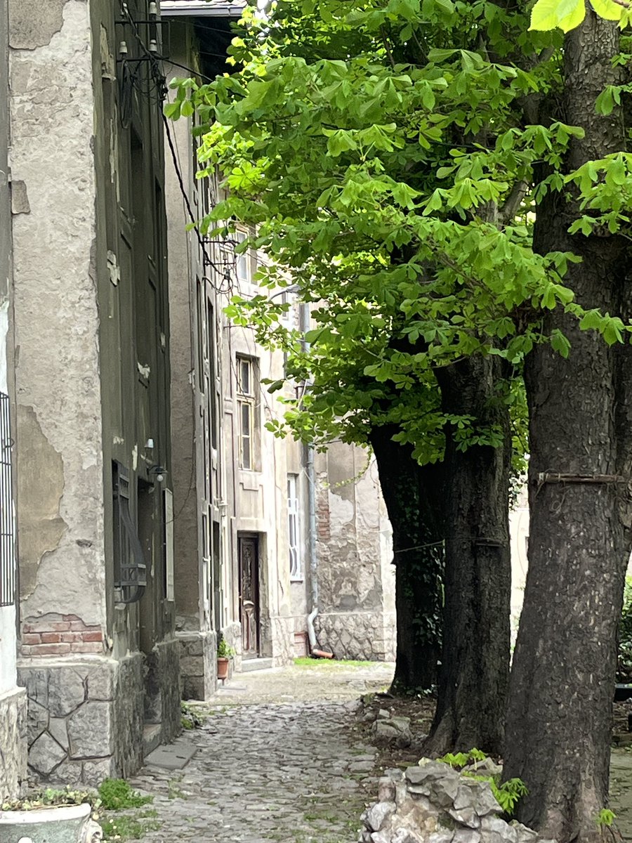 goranpandza's tweet photo. 🌿
I really love these little hidden oases tucked away in the courtyards of Dorćol buildings.

#oases #courtyards #Dorćol #buildings #Belgrade https://t.co/U1ZewnaVXS