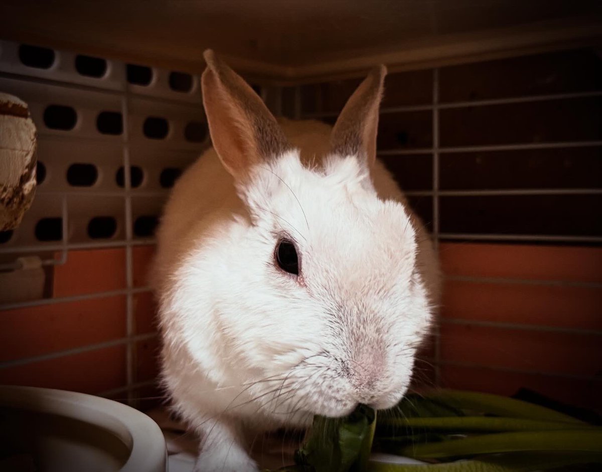 Ж Tomoki Ж(村上智幸) tweet media