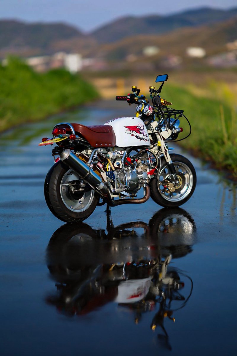 まこ@👑🎤☺️🐅 tweet media