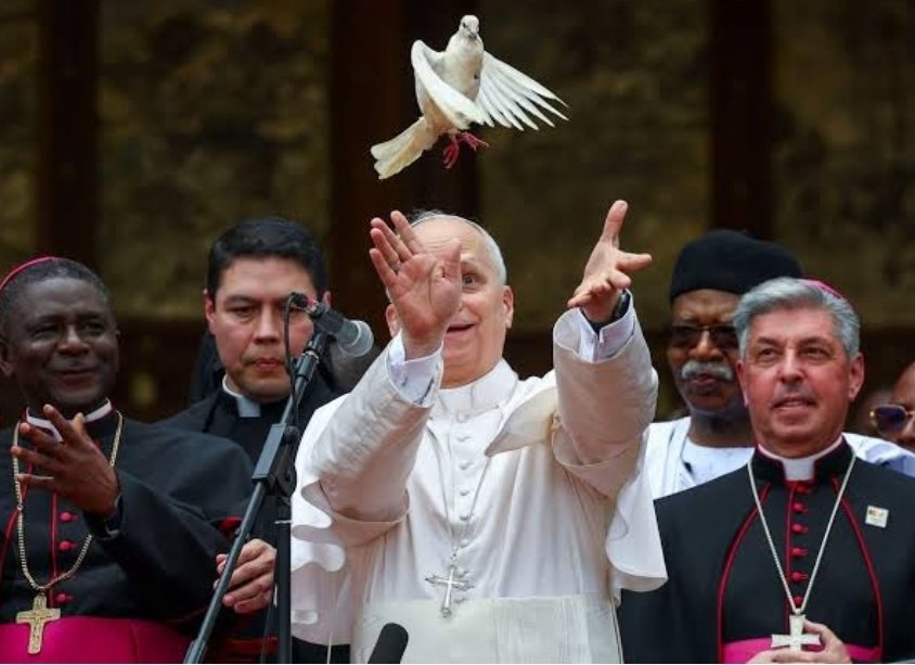 Stéphane M'BAFOU tweet media