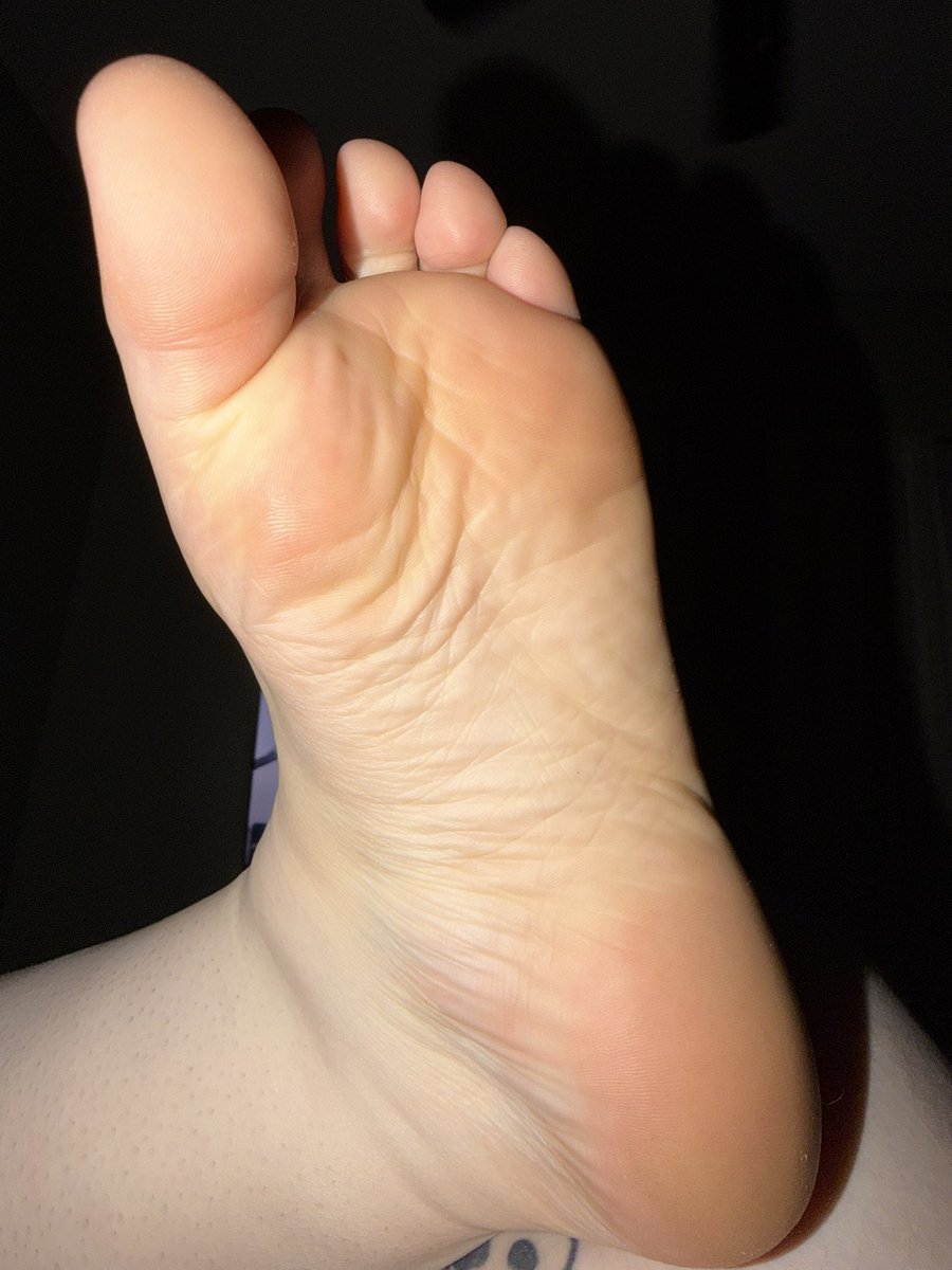 Royal 🩵🐰 tweet media