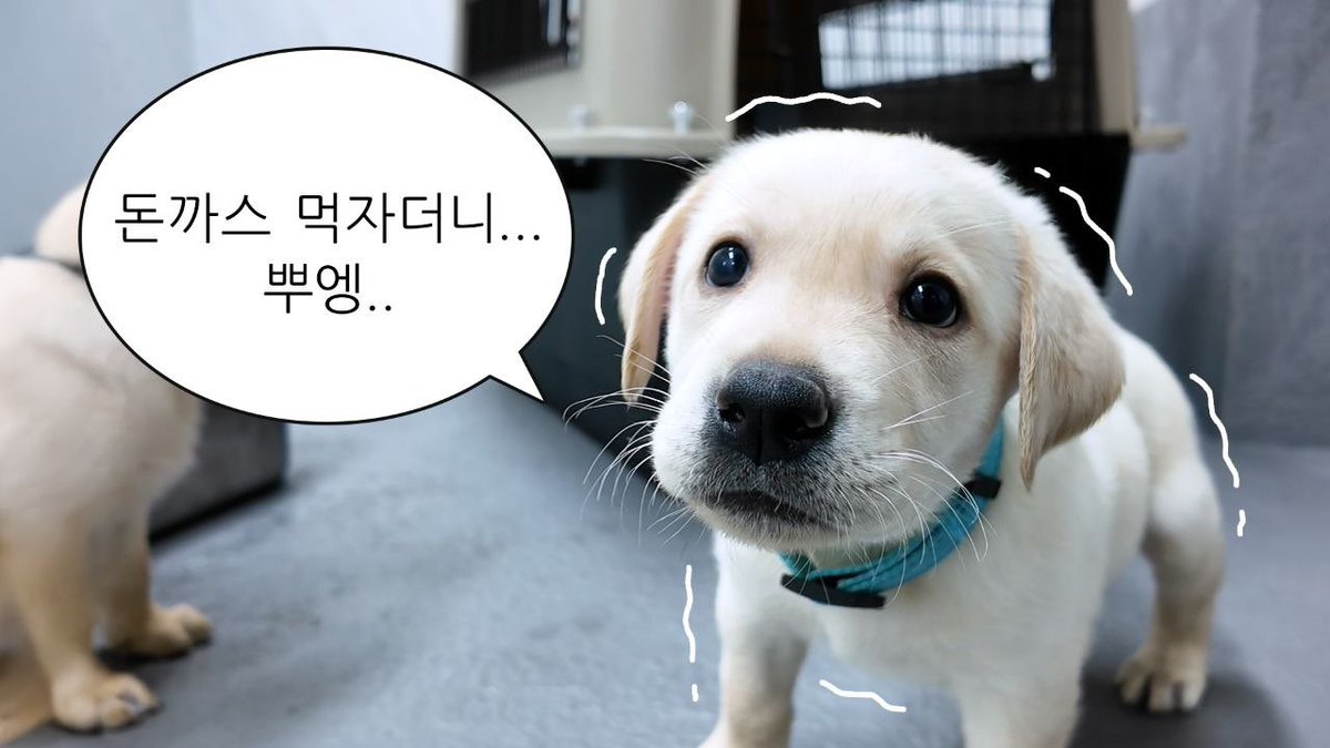 이명구 관세청장 tweet media