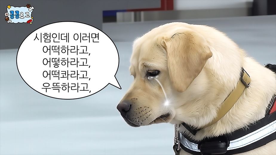 이명구 관세청장 tweet media