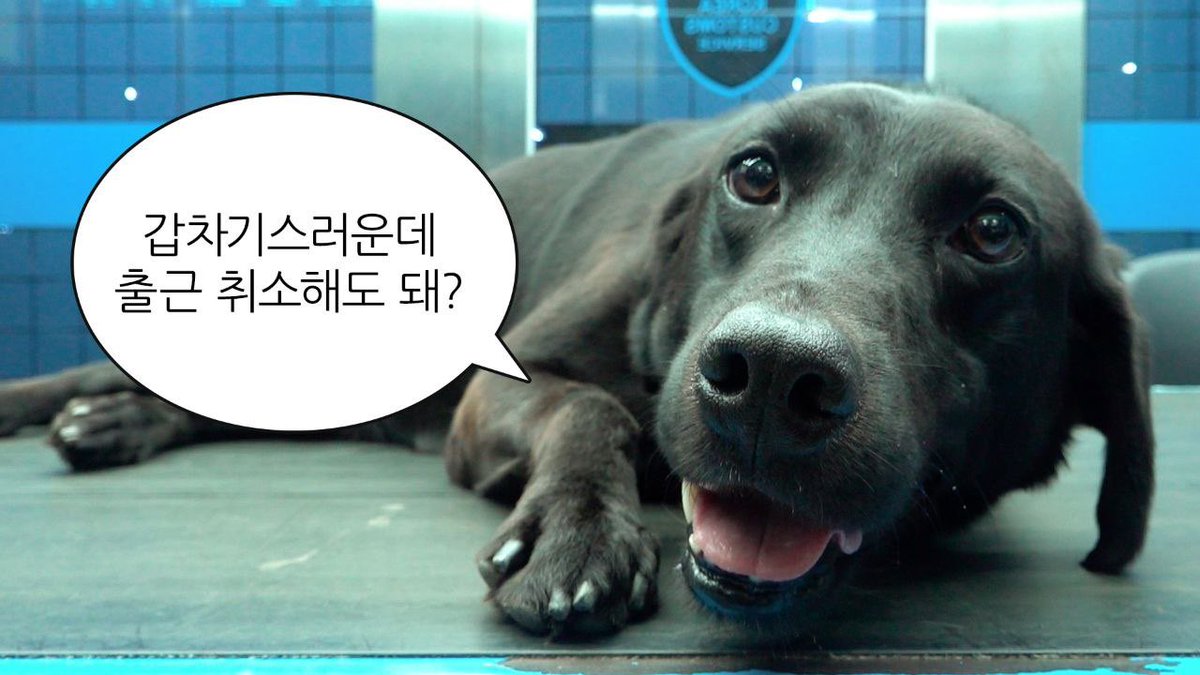 이명구 관세청장 tweet media