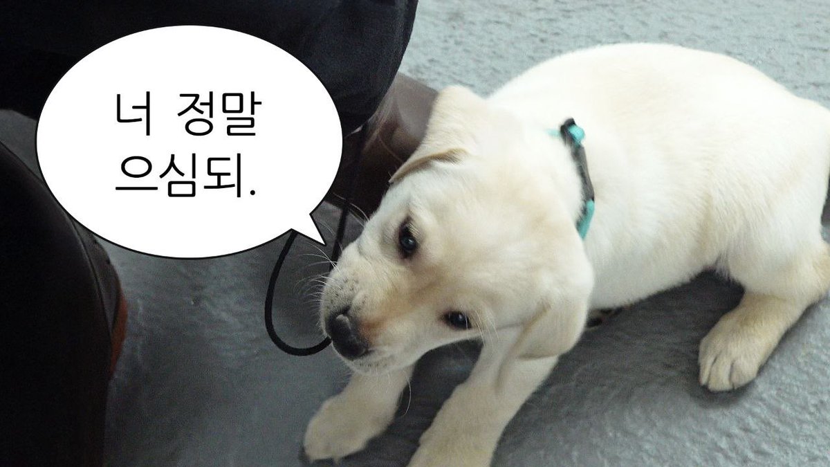 이명구 관세청장 tweet media