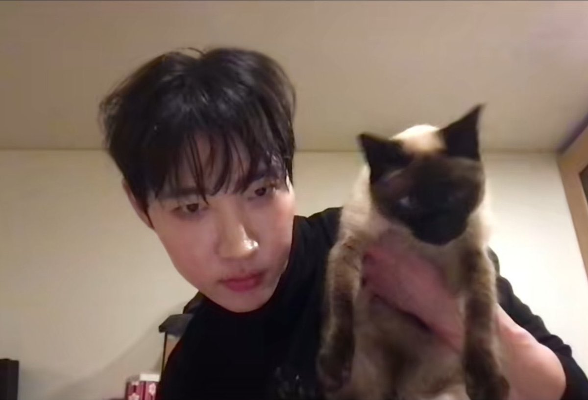 7ABBER's tweet photo. love how every cats owners look like their cats https://t.co/TC51kFANPm