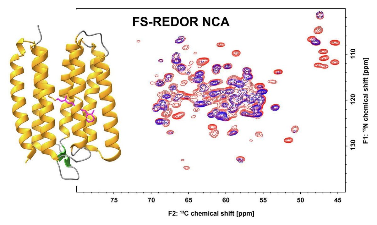 INOUE lab. (GSFS/ISSP Univ. Tokyo) tweet media