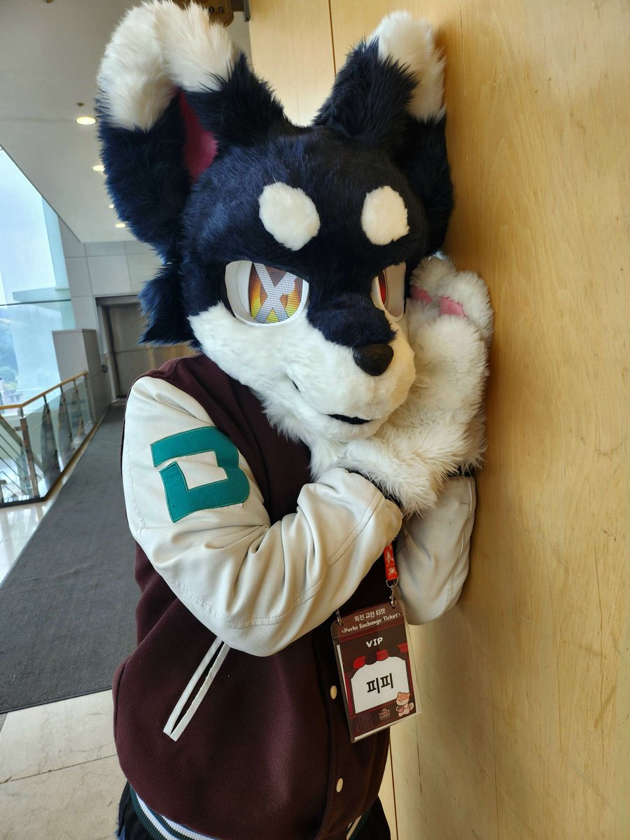 pp (퍼슈트 계정) tweet media